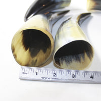4 Small Polished Cow Horns #0029 Natural colored