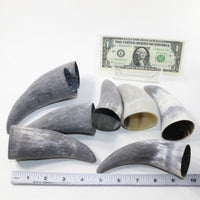 8 Raw Unfinished Cow Horn Tips #6025 Natural colored