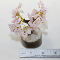 1 Small Rose Quartz Gemstone Chip Tree 3-4 Inch #8422