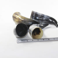 4 Polished Cow Horns #9429 Natural colored