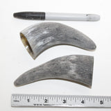 2 Raw Unfinished Cow Horn Tips #8814 Natural colored