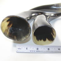 4 Polished Cow Horns #302d Natural colored