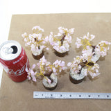 5 Small Rose Quartz Gemstone Chip Trees 3-4 Inch #8123