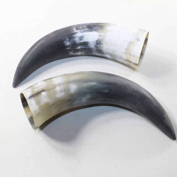 2 Raw Unfinished Cow Horns #2134 Natural Colored