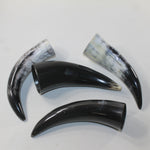 4 Small Polished Cow Horns #9928 Natural colored