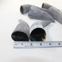 8 Raw Unfinished Cow Horn Tips #6025 Natural colored