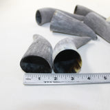 8 Raw Unfinished Cow Horn Tips #6025 Natural colored