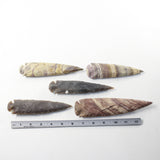 5 Stone Ornamental Spearheads  #6334  Arrowheads