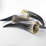 4 Polished Cow Horns #0529 Natural colored