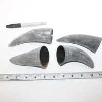 4 Raw Unfinished Cow Horn Tips #6714 Natural Colored