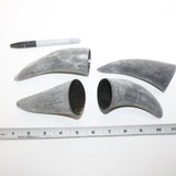 4 Raw Unfinished Cow Horn Tips #6714 Natural Colored